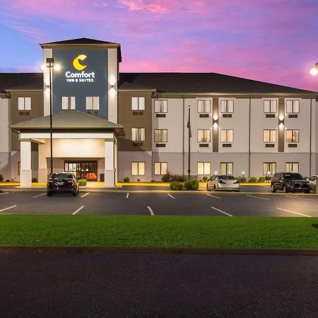 Comfort Inn & Suites Cave City Exterior photo